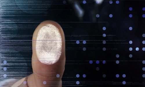 Fingerprint Identity Verification